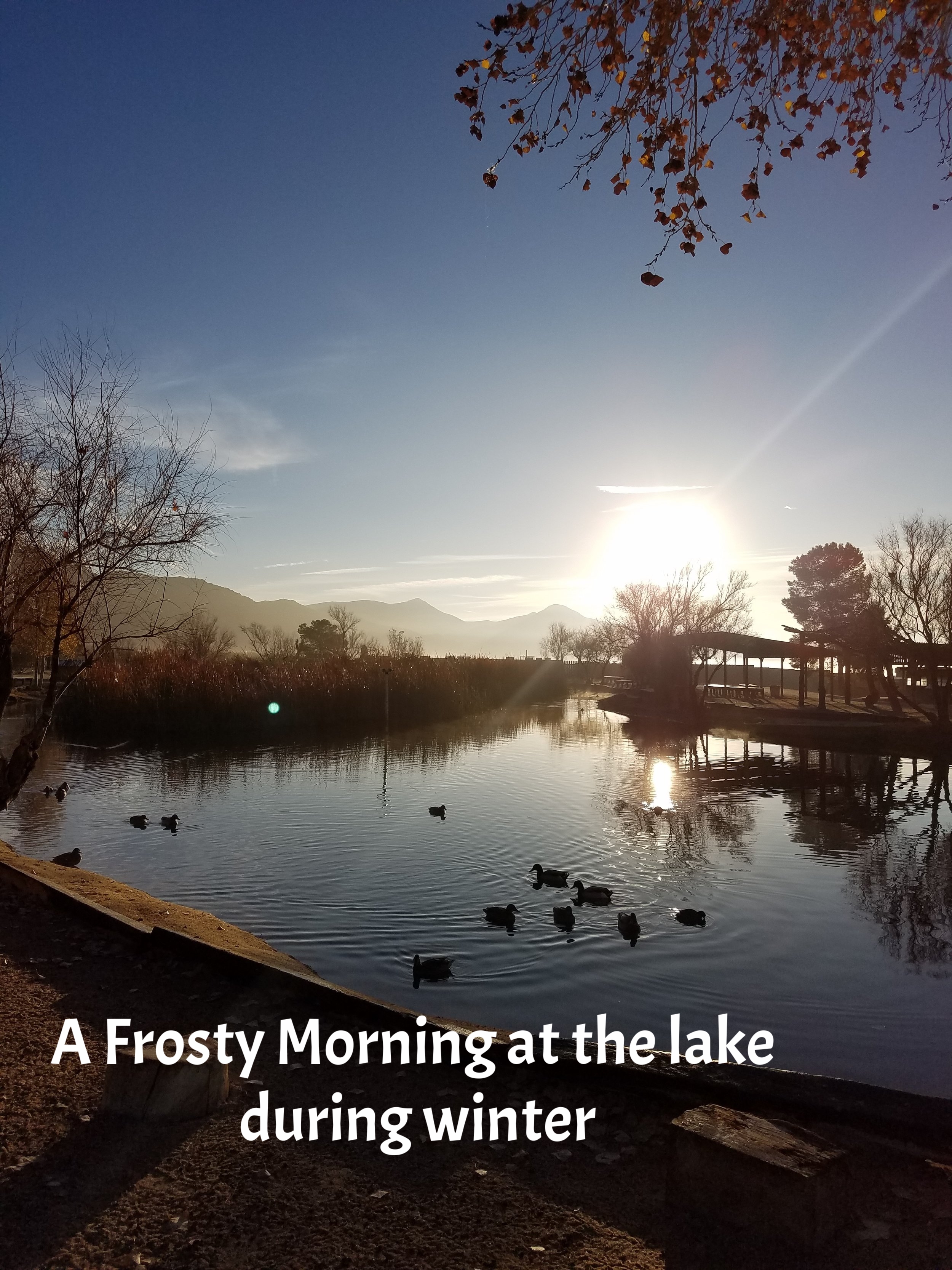 frosty lake am 2017.jpg