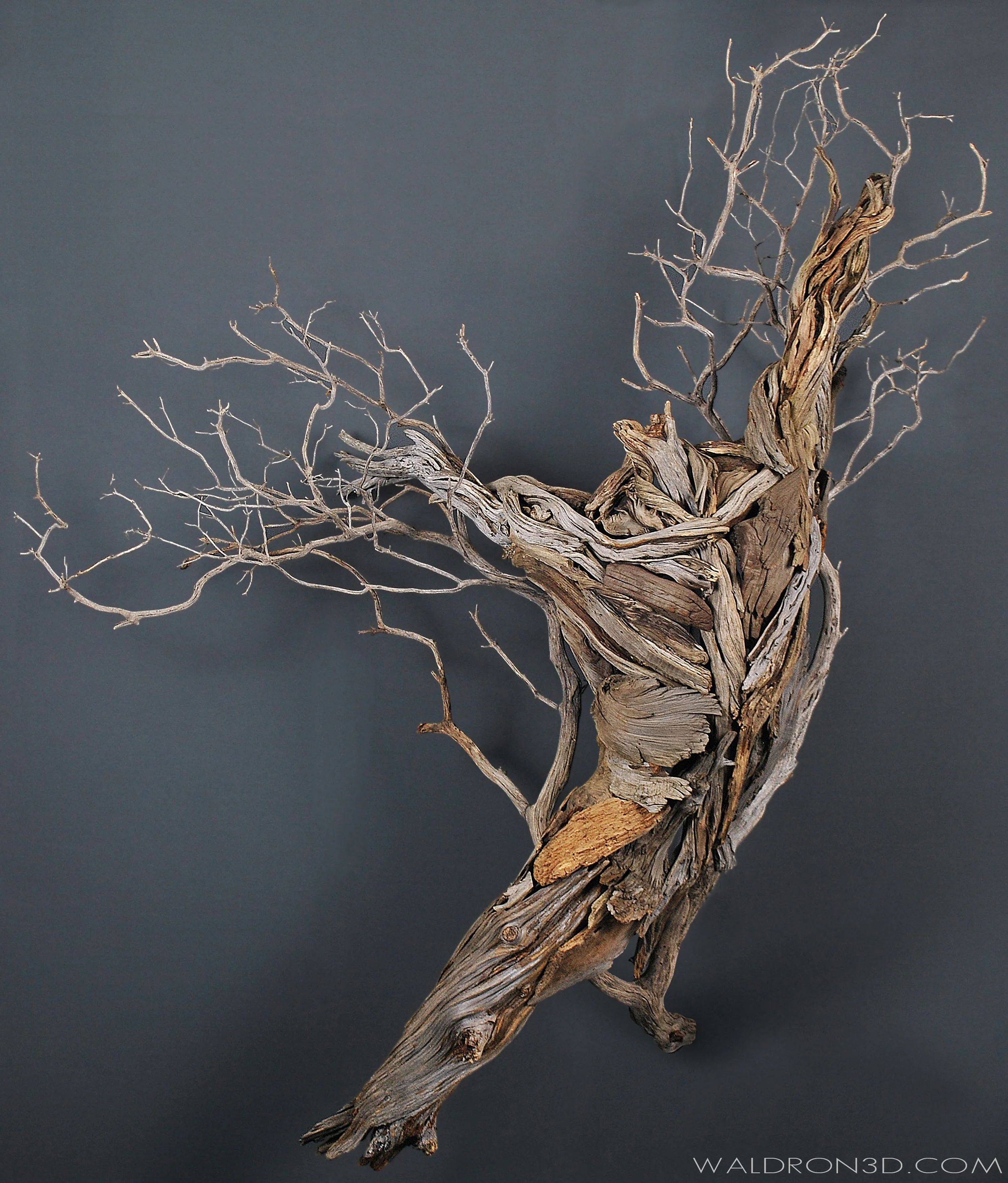 | AVAILABLE | WALDRON 3D | SCULPTURAL EXPRESSIONS - "GRACE" A WALL HANGING ASSEMBLAGE SCULPTURE OF A MALE TORSO. 5FT. 9IN. WIDE X 5FT. 9IN. TALL X 20IN. DEEP. CONSTRUCTED FROM FORAGED, WEATHERED PIECES OF HIGH DESERT WOOD; SUCH AS MANZANITA, JUNIPER, SAGE, AND PINE.