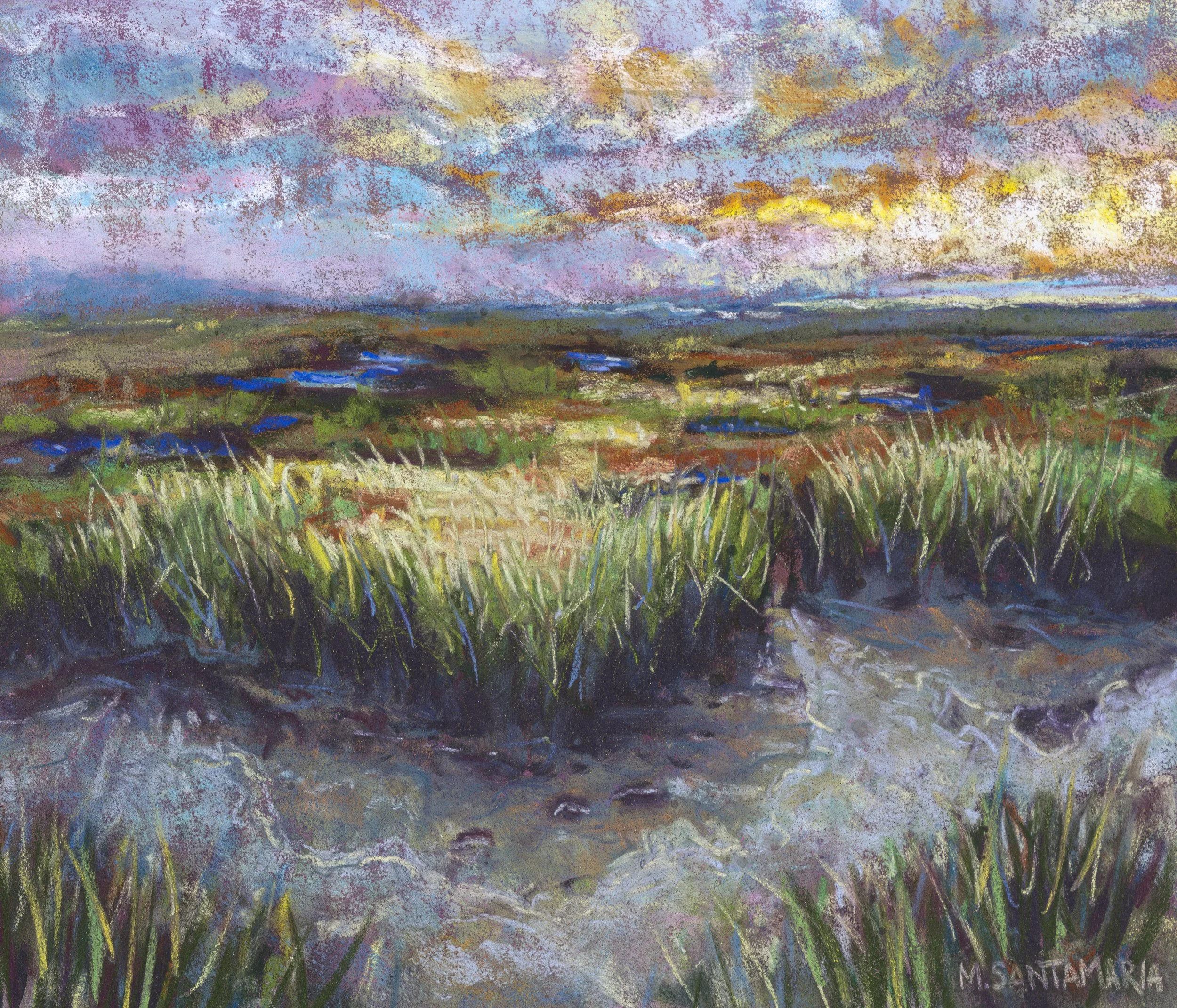 the marsh_03 pic cropped.jpg