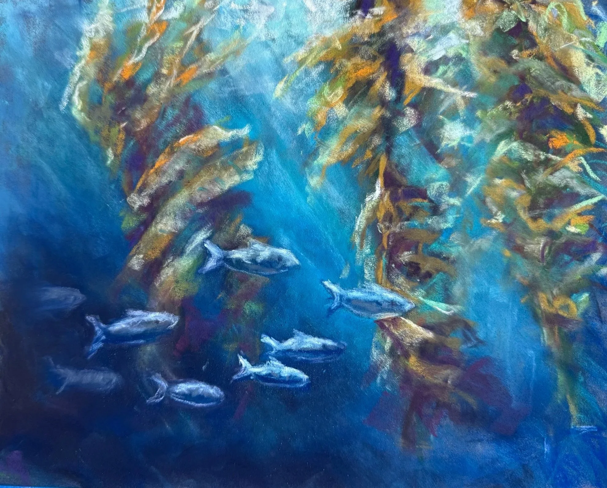 Kelp+bluefish.jpg