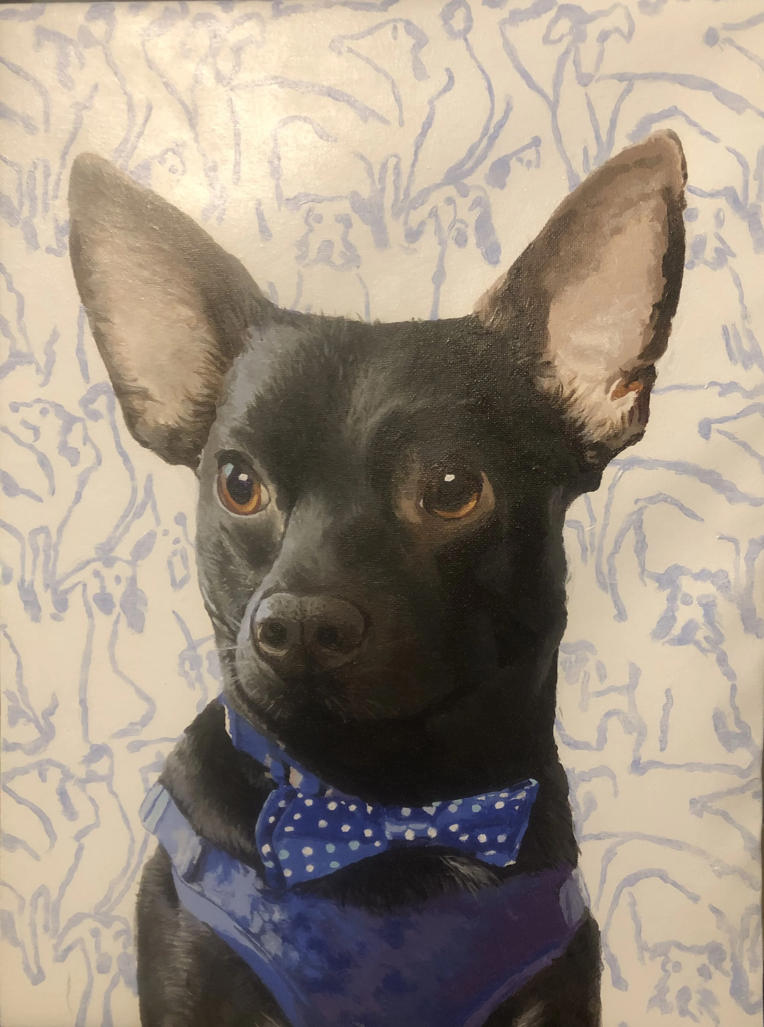 Dougie.jpg