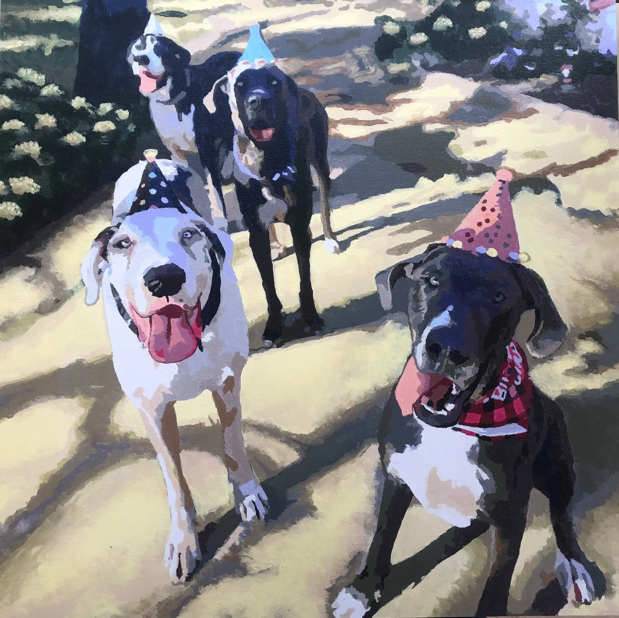 Tim's dog party.jpg