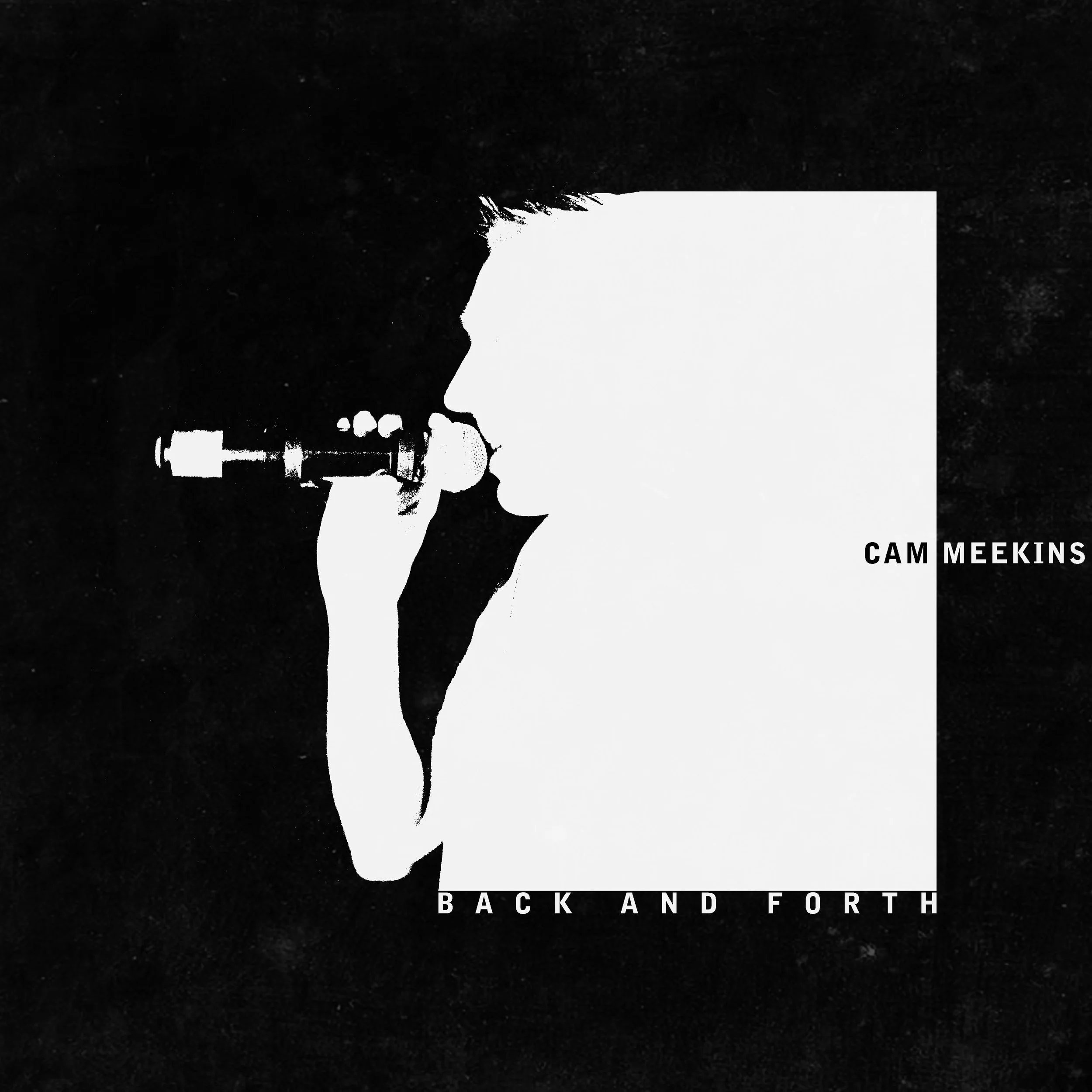 Cam Meekins B and Forth.jpg