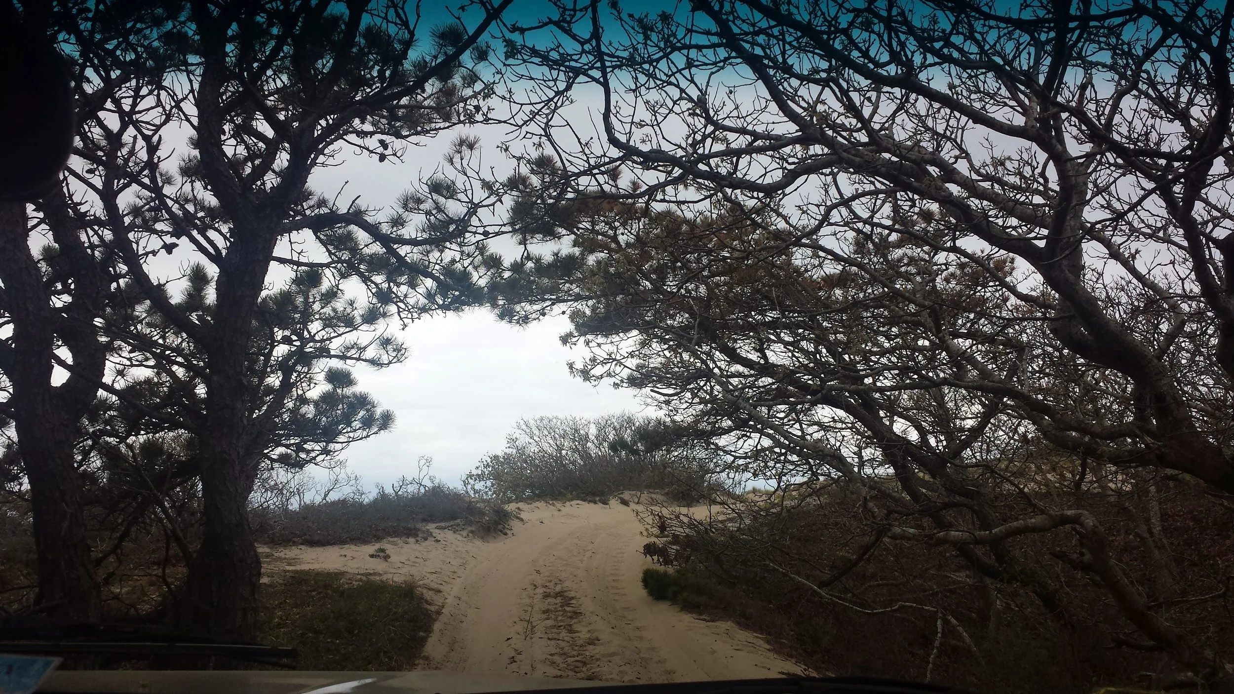 20150516_132300.jpg