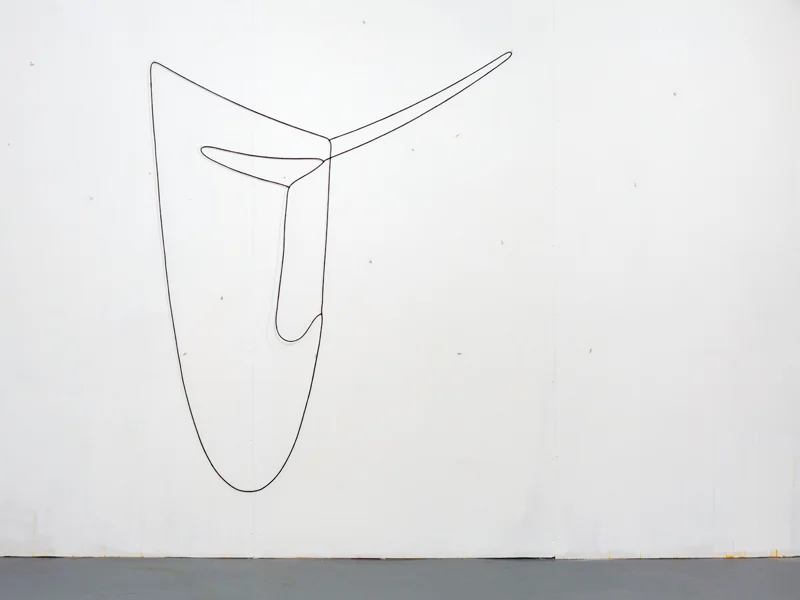 Hanging Drawing (3 Loops) , 2014, lead, rubber, acrylic paint, series of three connected loops, set of hooks, dimensions variable