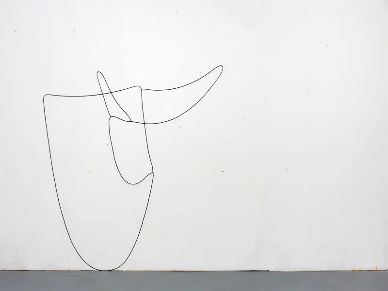 Hanging Drawing (3 Loops) , 2014, lead, rubber, acrylic paint, series of three connected loops, set of hooks, dimensions variable
