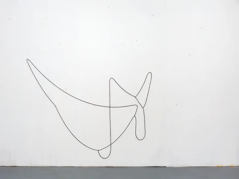 Hanging Drawing (3 Loops), 2014, lead, rubber, acrylic paint, series of three connected loops, set of hooks, dimensions variable