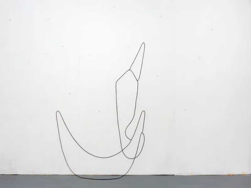 Hanging Drawing (3 Loops) , 2014, lead, rubber, acrylic paint, series of three connected loops, set of hooks, dimensions variable