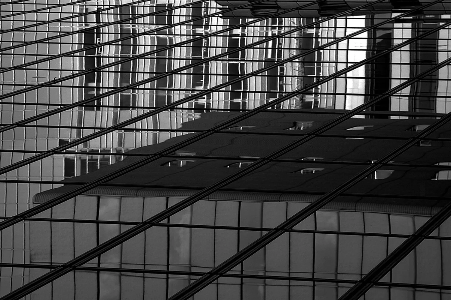 Reflections of Tokyo