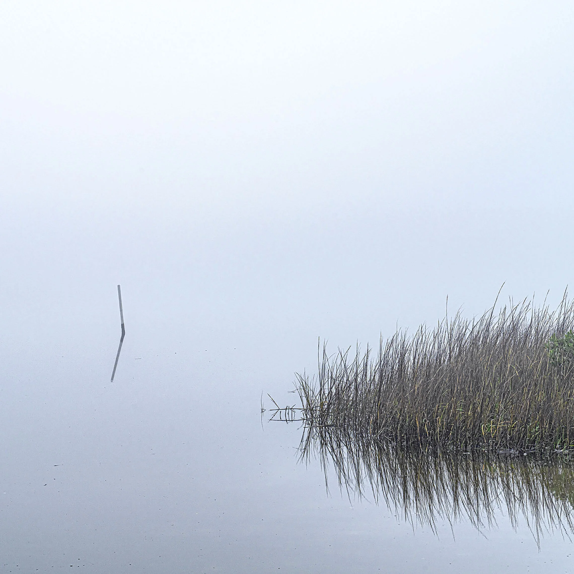 Anastasia State Park, Florida
