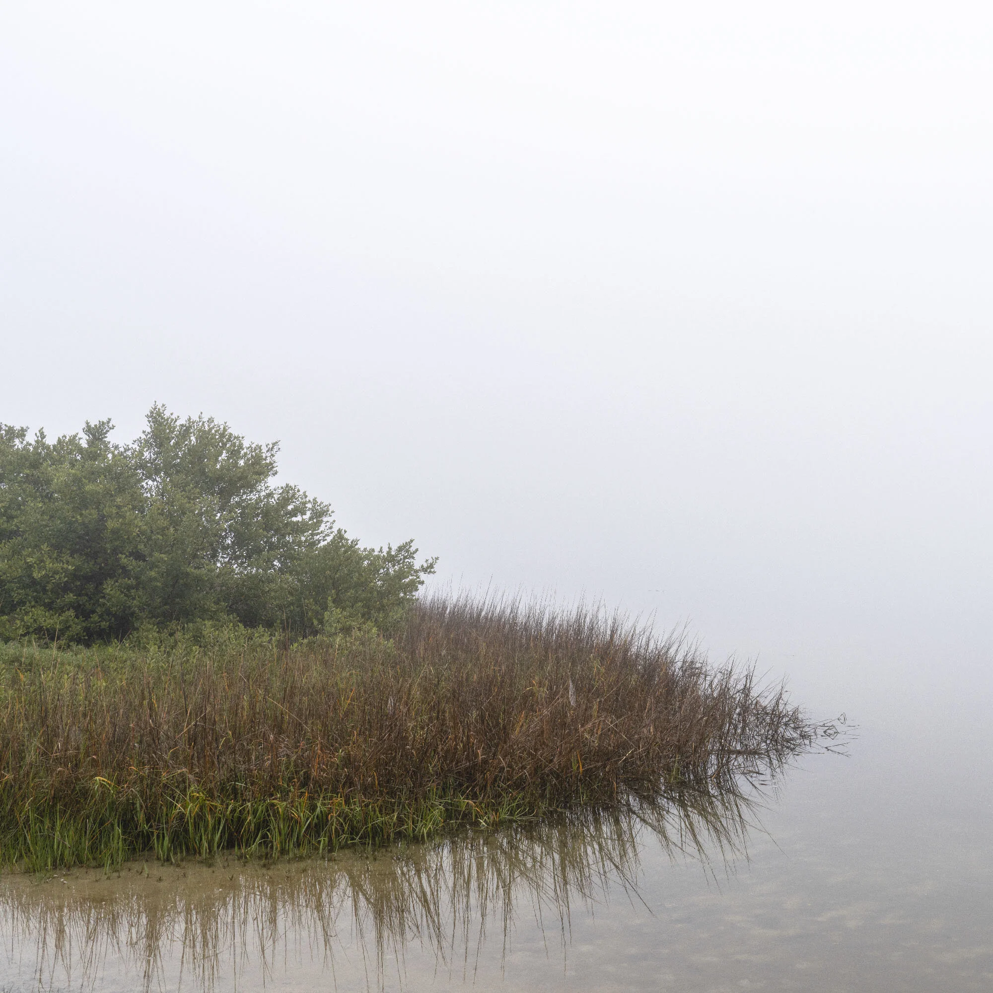 Anastasia State Park, Florida