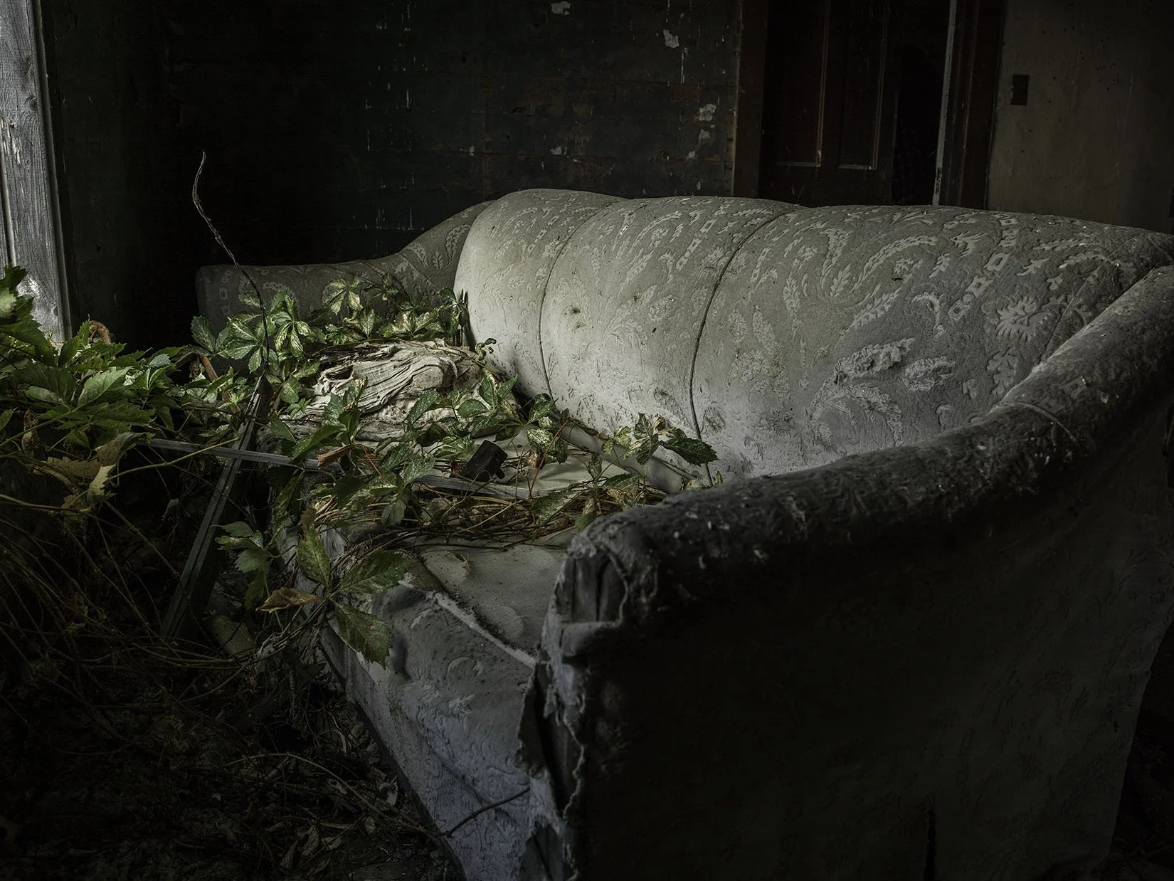 A0002912-Edit WScopy.jpg