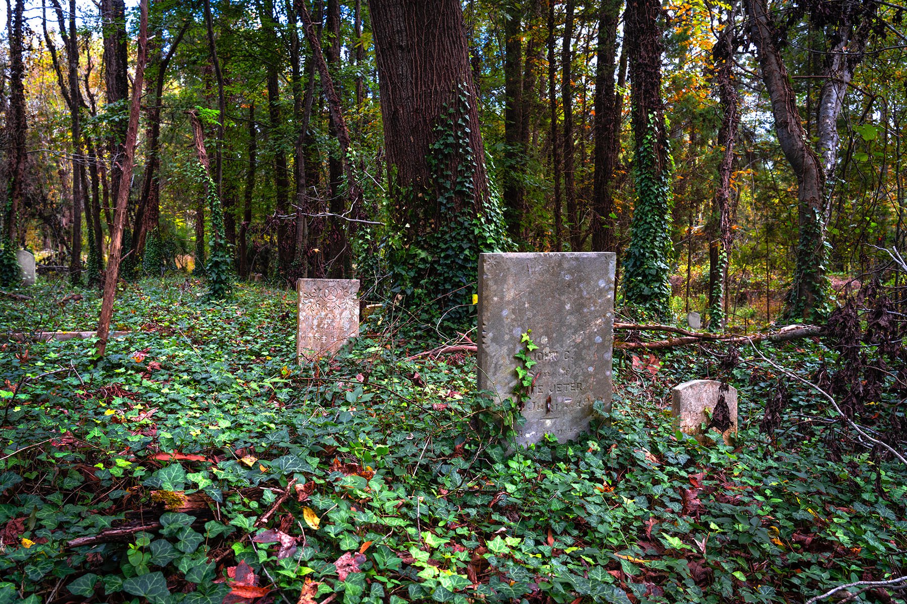 Evergreen Cemetery, Richmond, VA - 2020