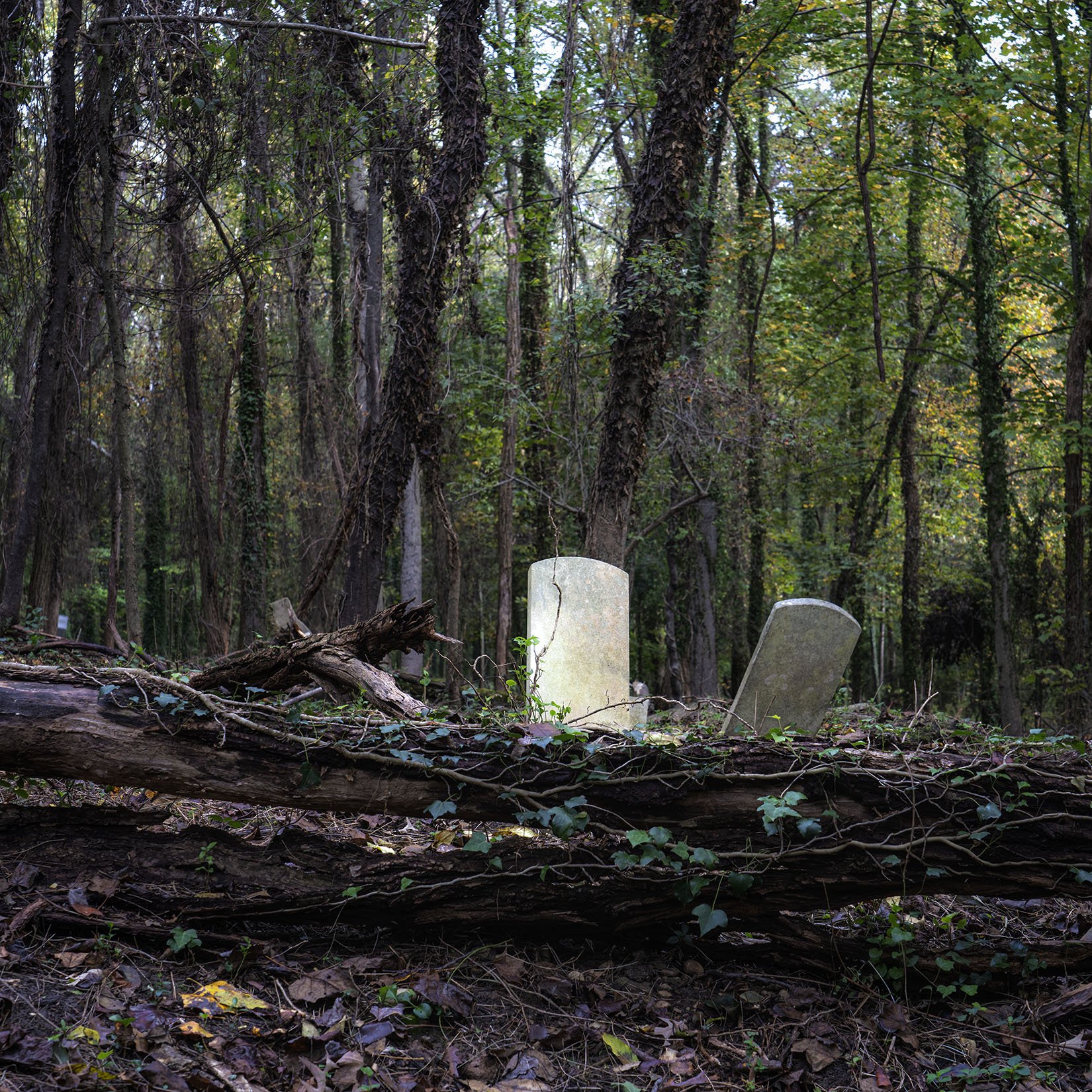 Untitled (October, 2021)