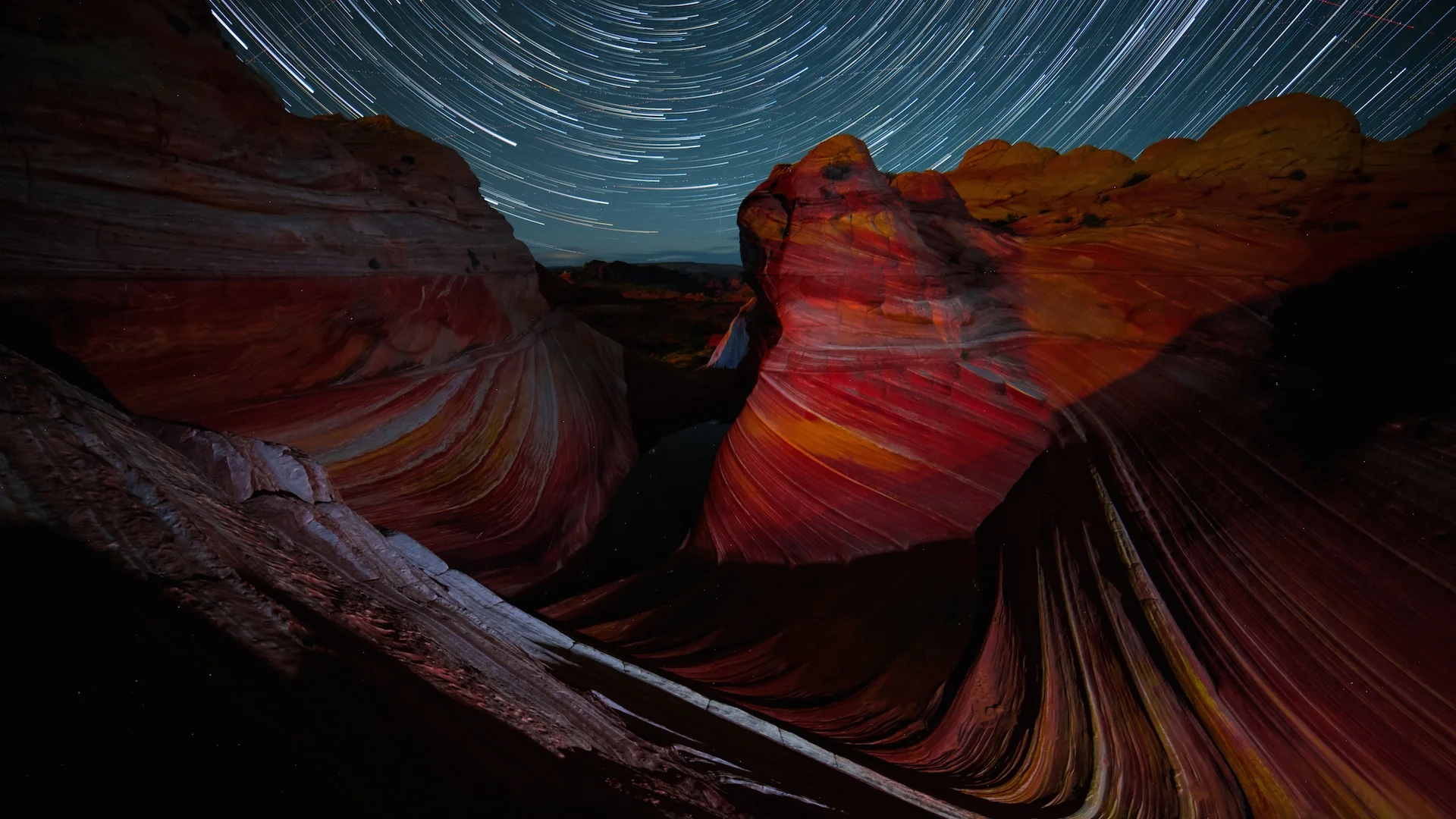 Wavelight BBC Earth