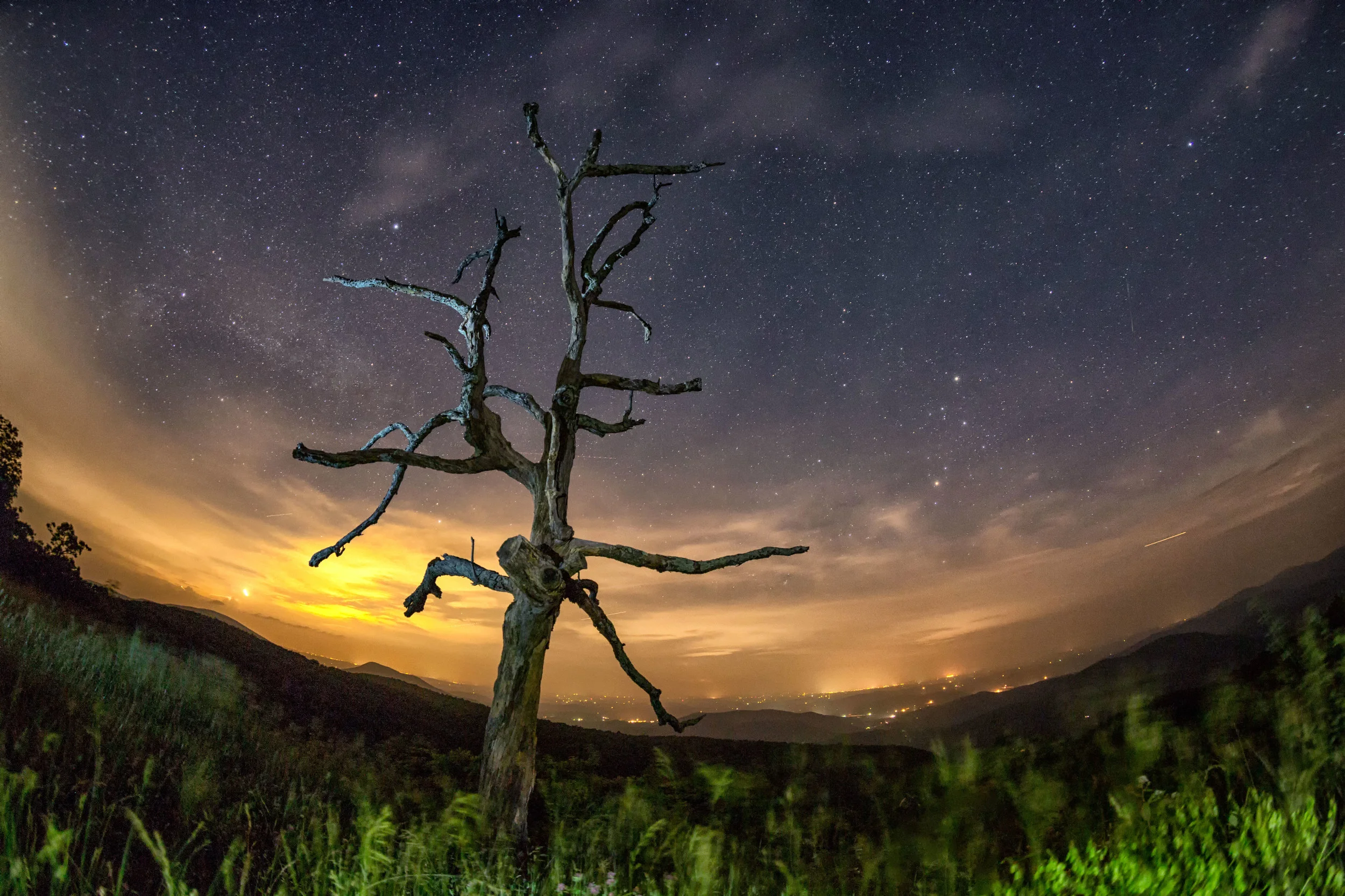 BBC EARTH: SHENANDOAH REVERIE