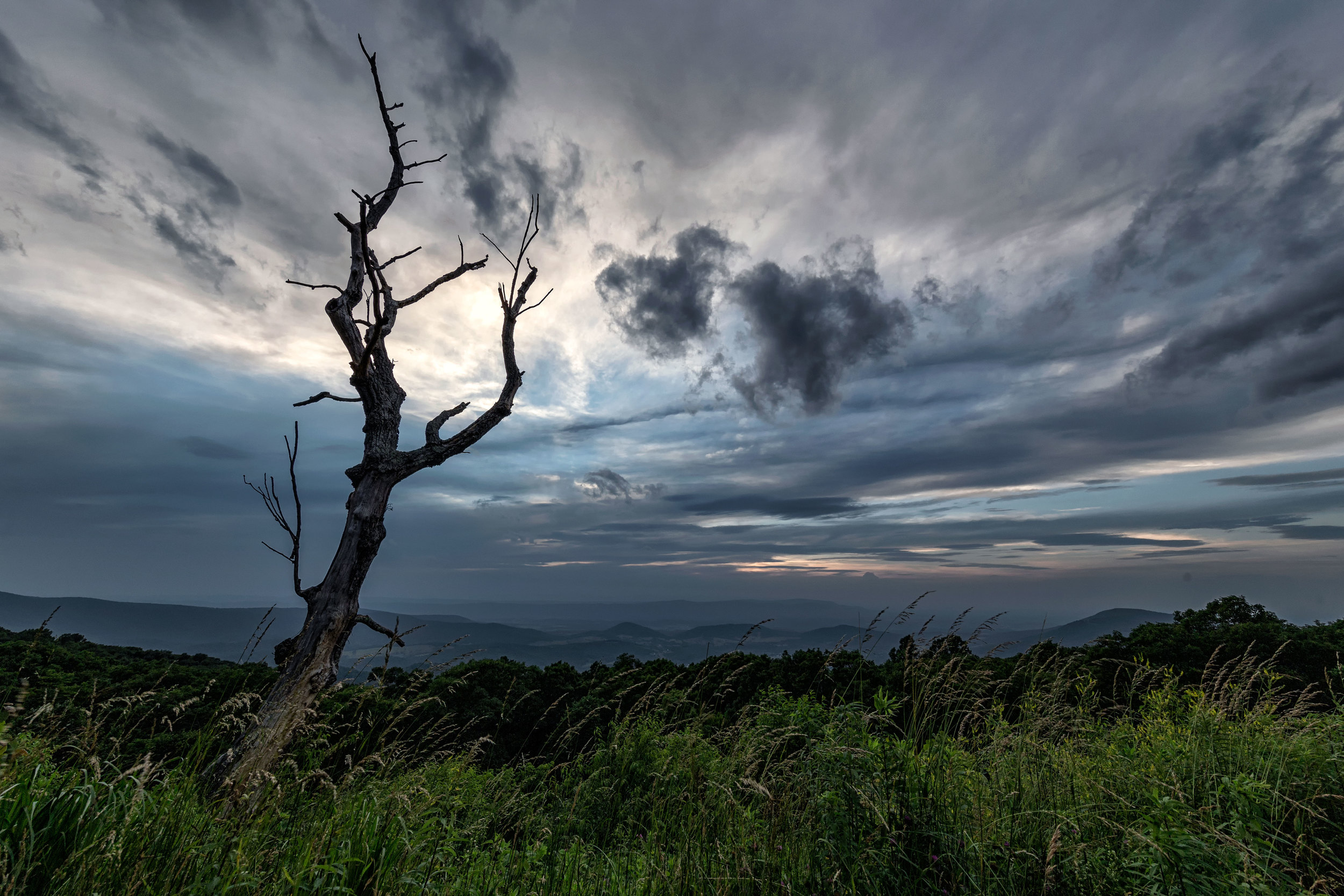 BBC EARTH: SHENANDOAH REVERIE