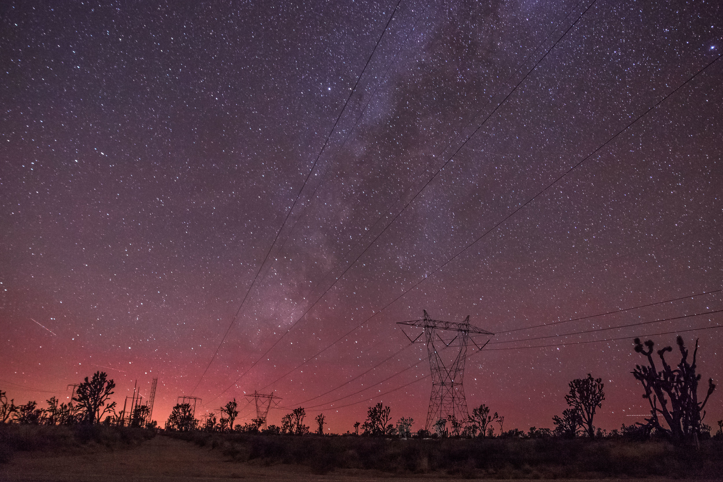 Startrails over the Mojave Joshua Tree Fores