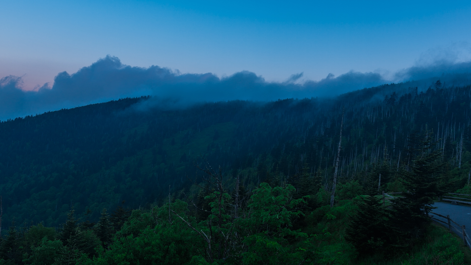 SUNRISE AT CLINGMAN'S DOME