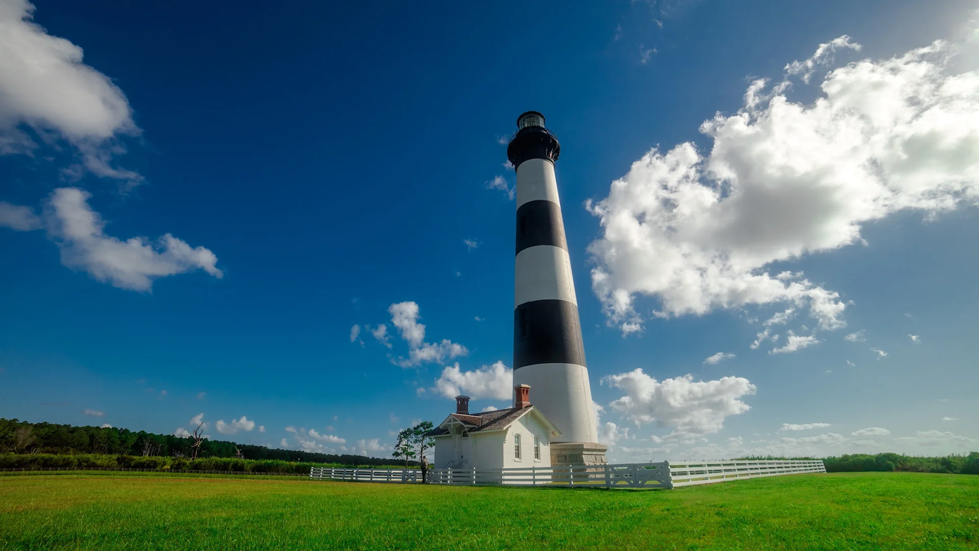 BODIE LIGHT