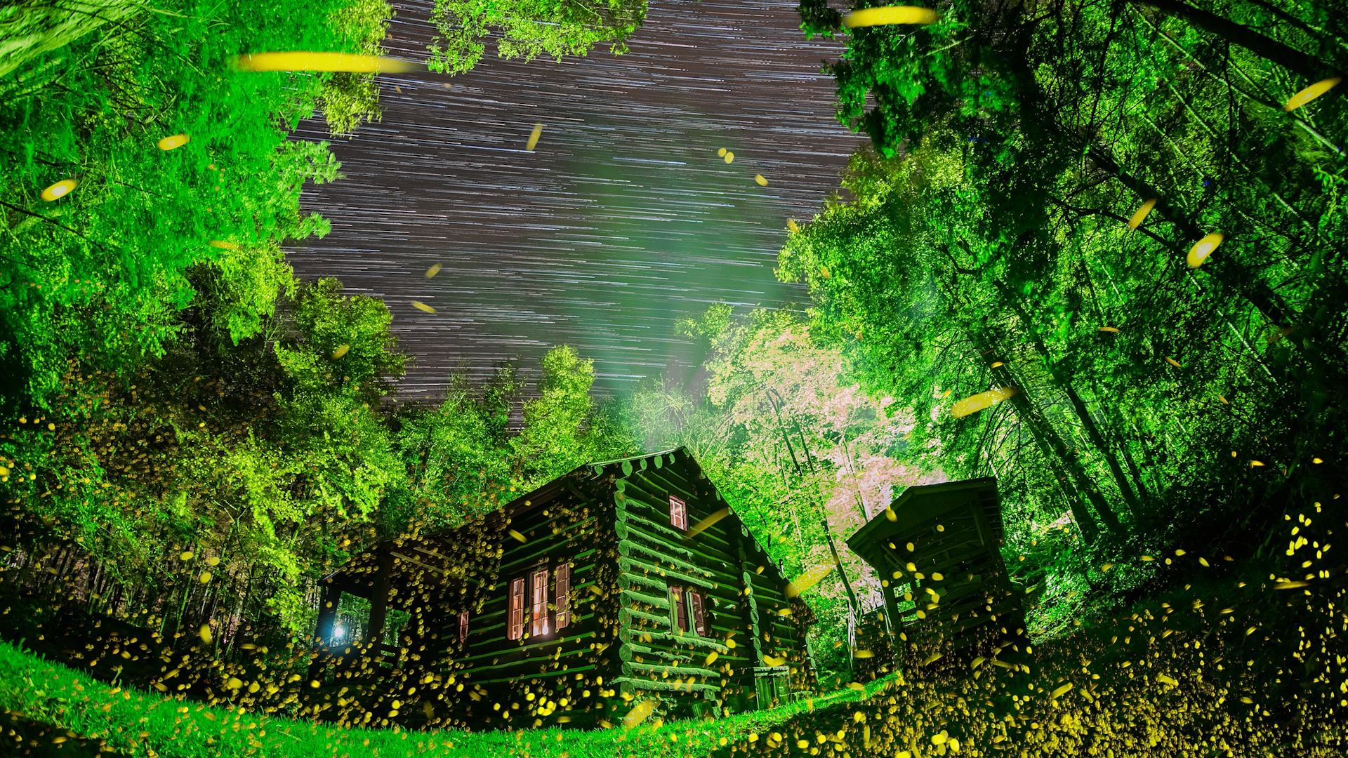 STARS AND FIREFLIES