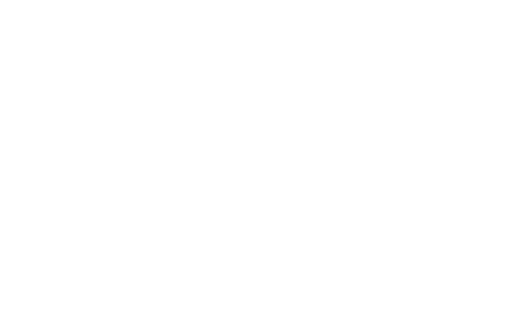 TRAVIS CARTE