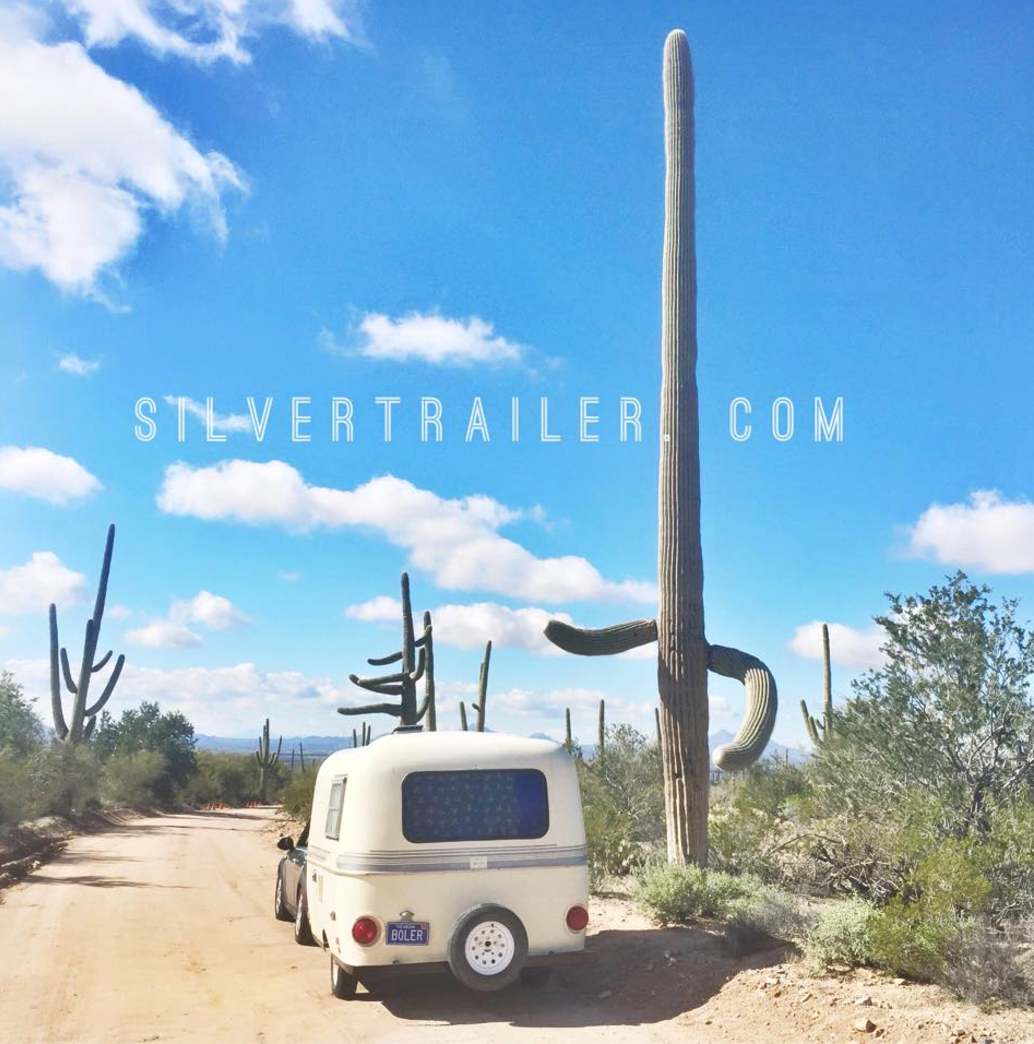 THE BOLER IN SAGUARO NATIONAL PARK. HITCHHIKING CACTUS.&nbsp;