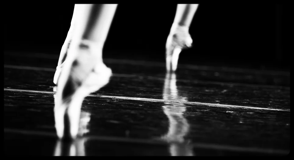 What is the Pointe of Pointe?