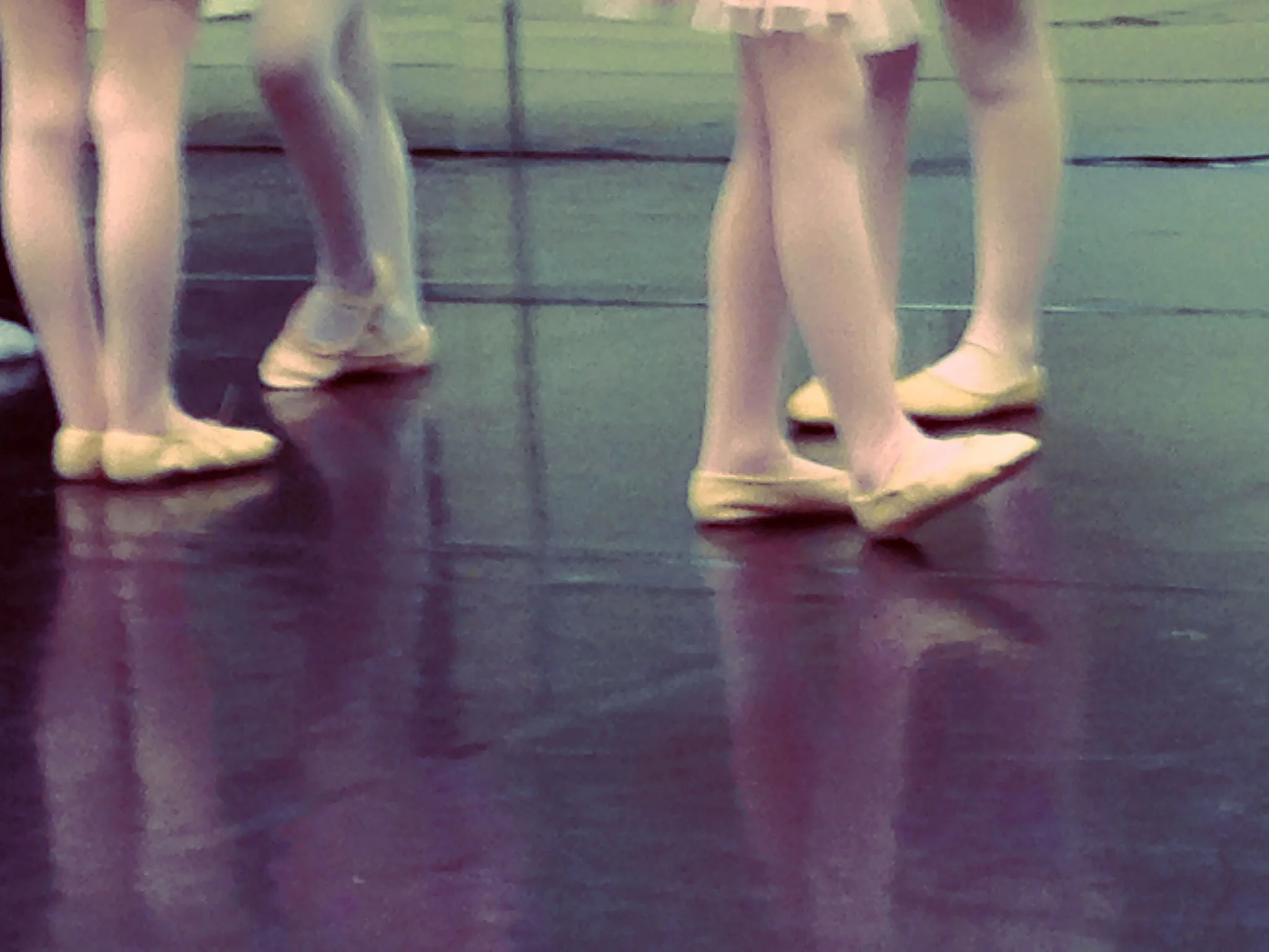 ballet shoe.jpg