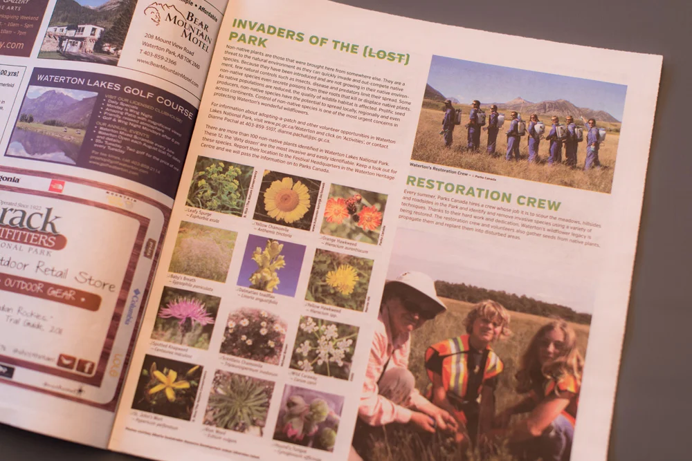 Waterton Wildflower Festival