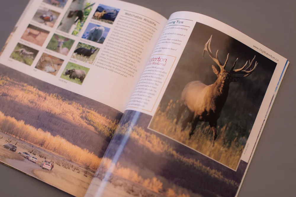 Waterton Lakes National Park Visitor's Guide