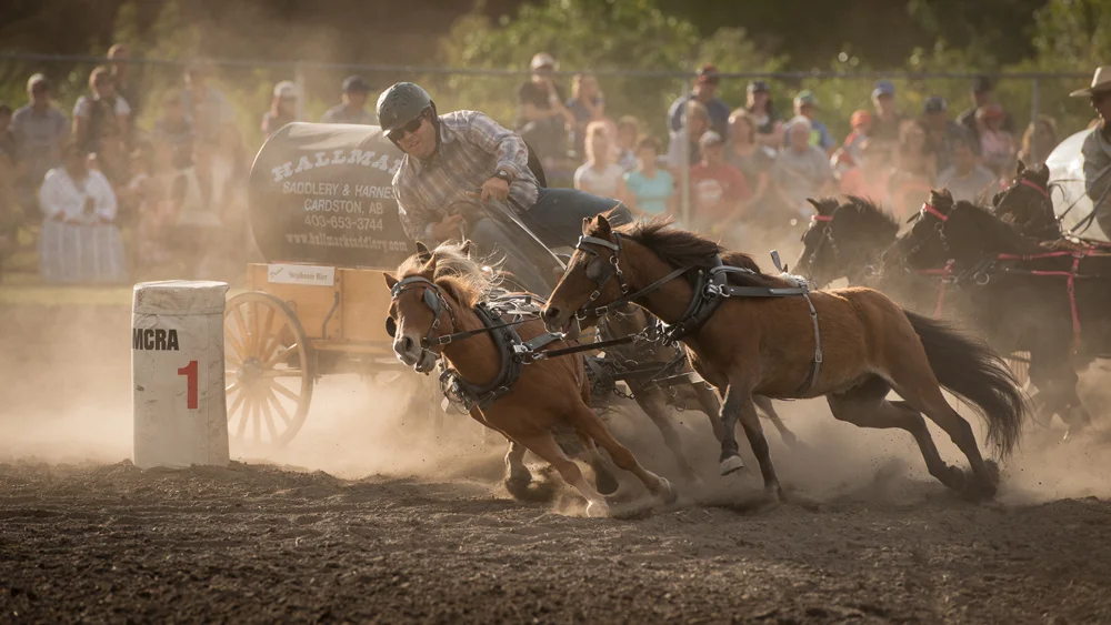 Cardston Tourism - Mini Chuckwagon Championships