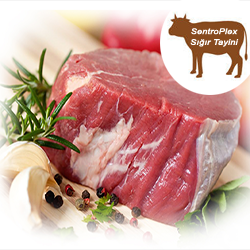 SPX1QLT-MT10 sentroplex sığır tür tayini