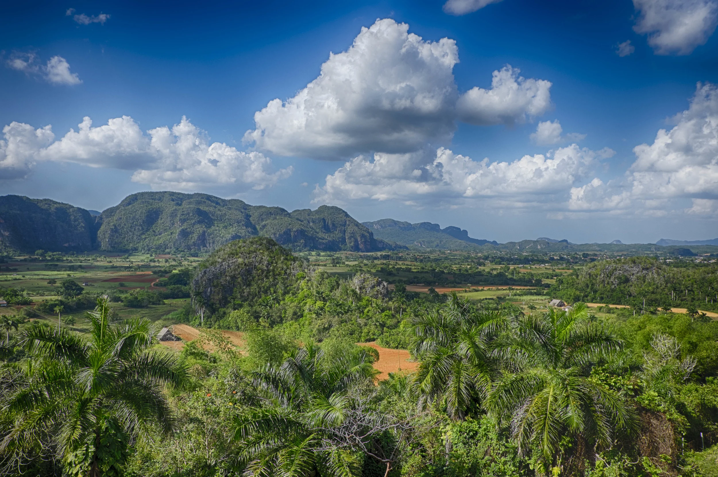 vinales2.jpg