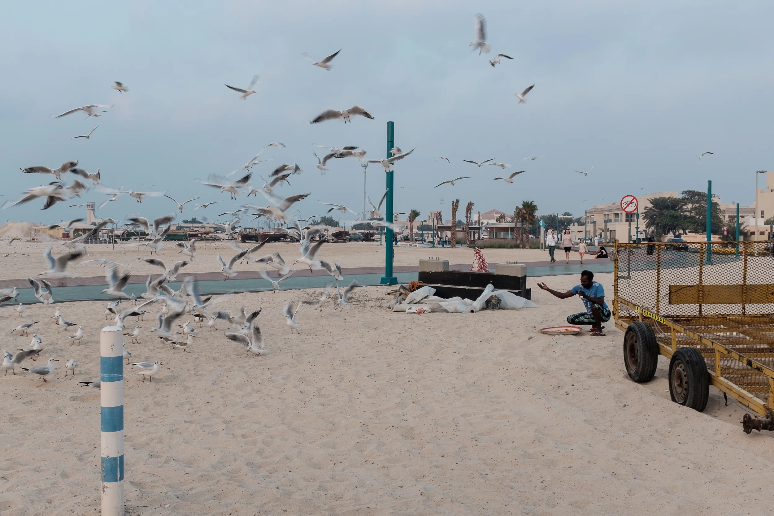 _DSF0654.jpg