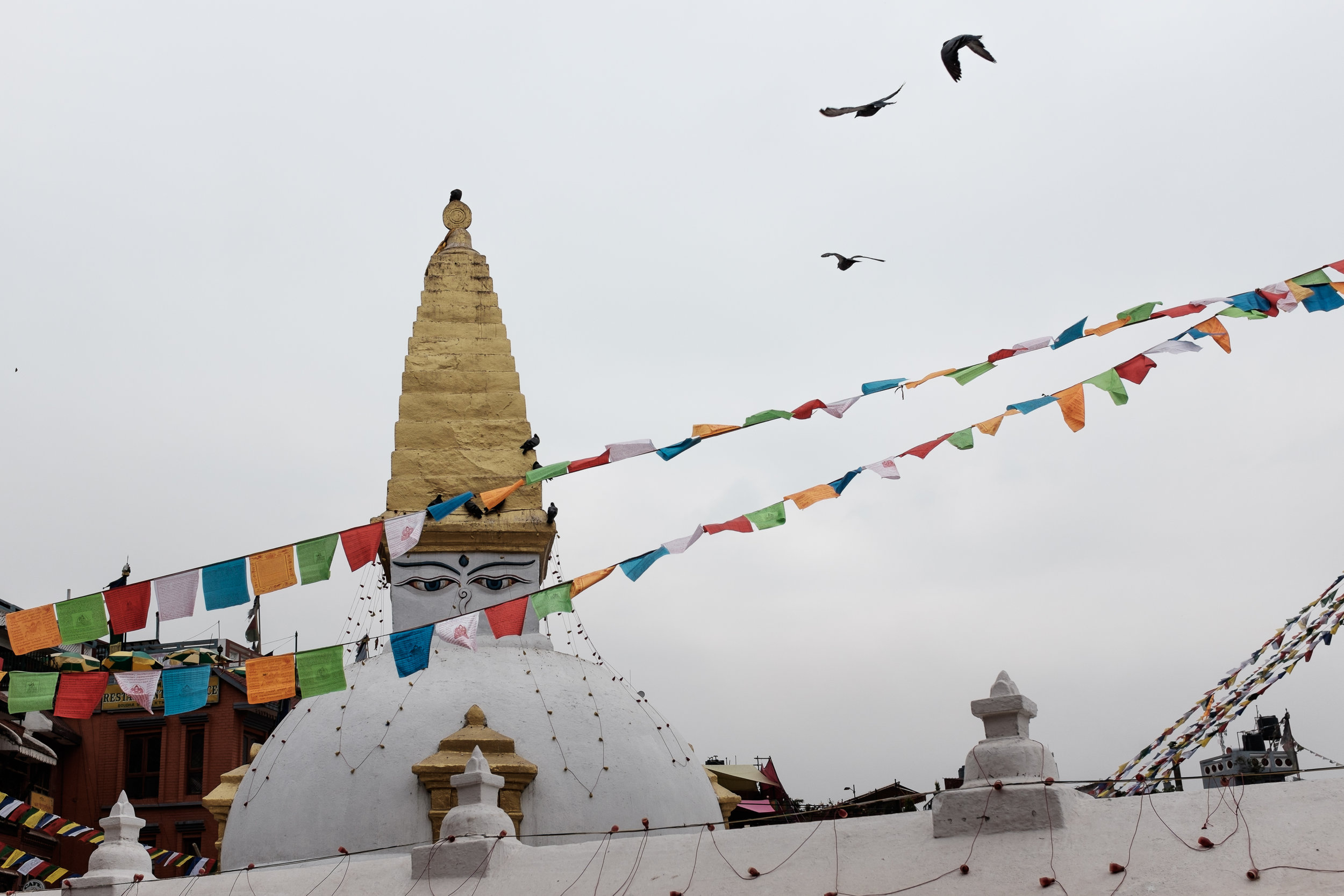 Nepal-16.jpg
