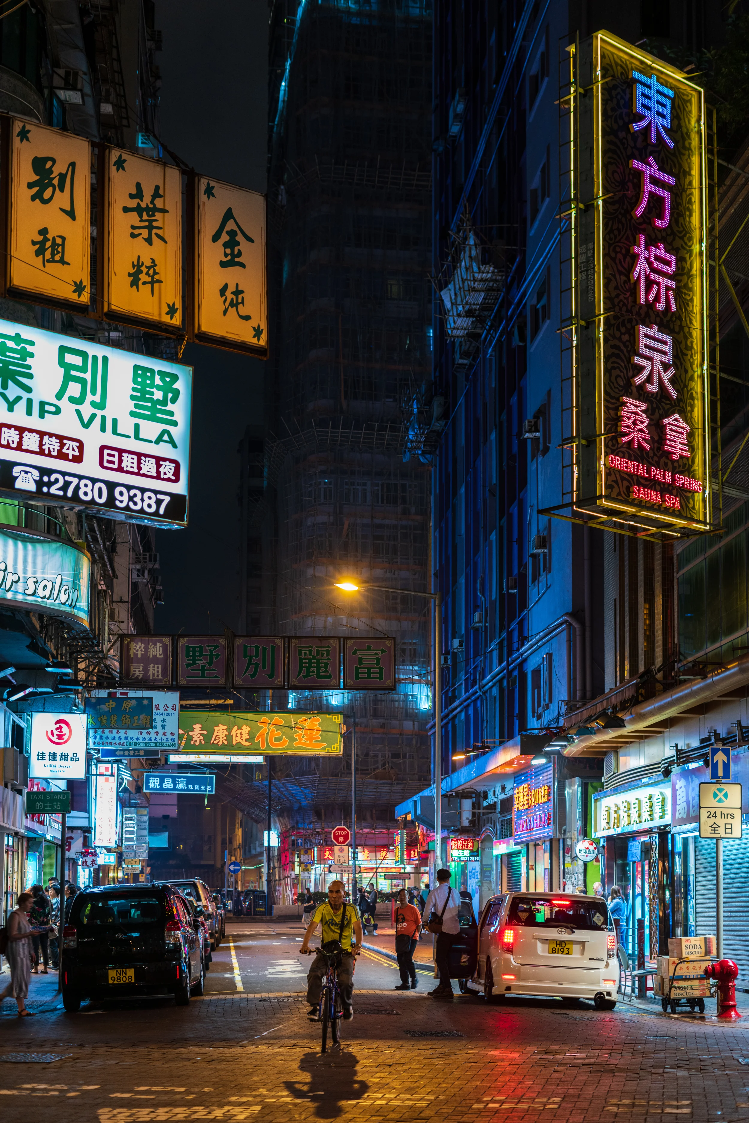 _DSC2910_March 20, 2019.jpg