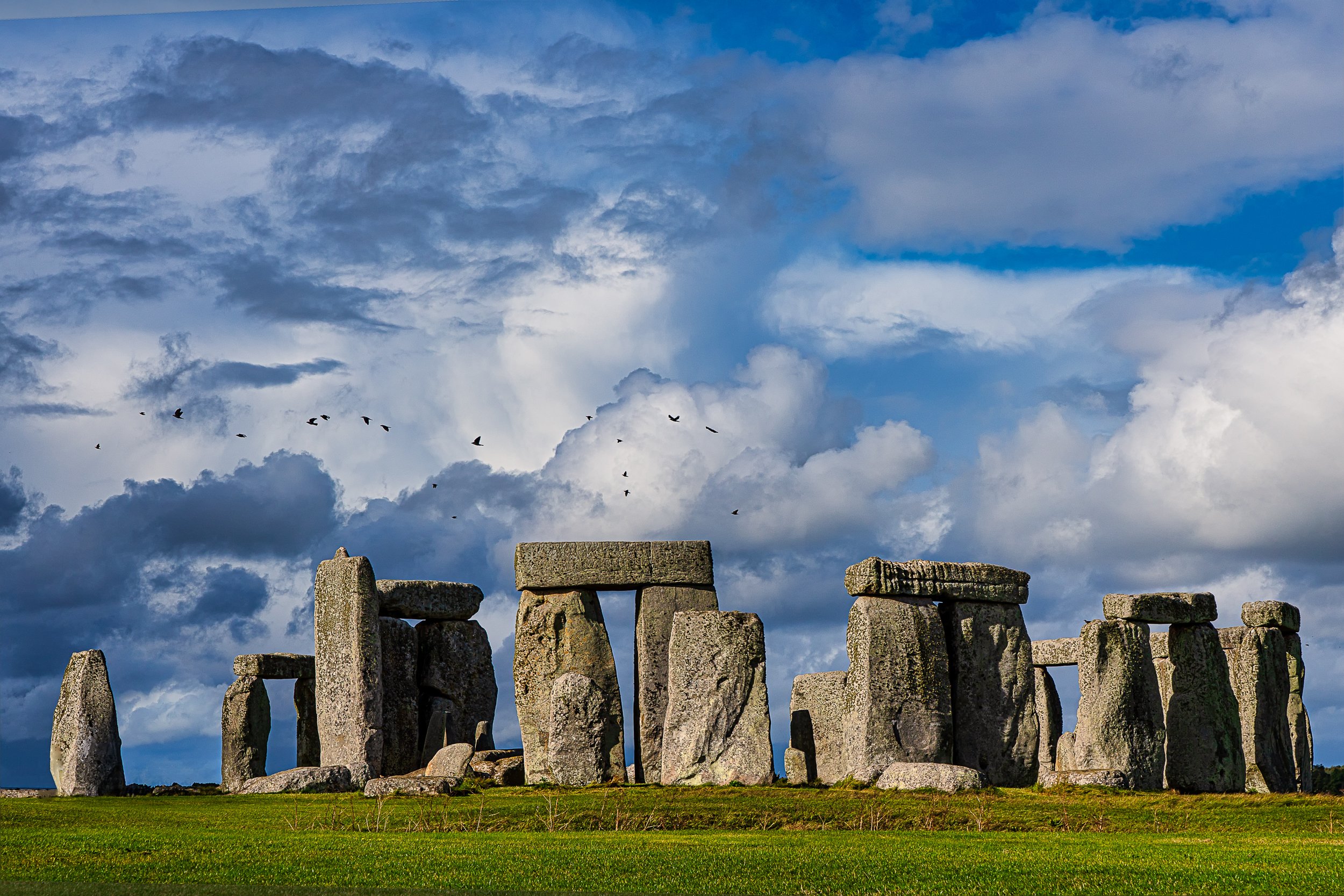 _DSC1015-edit.jpg