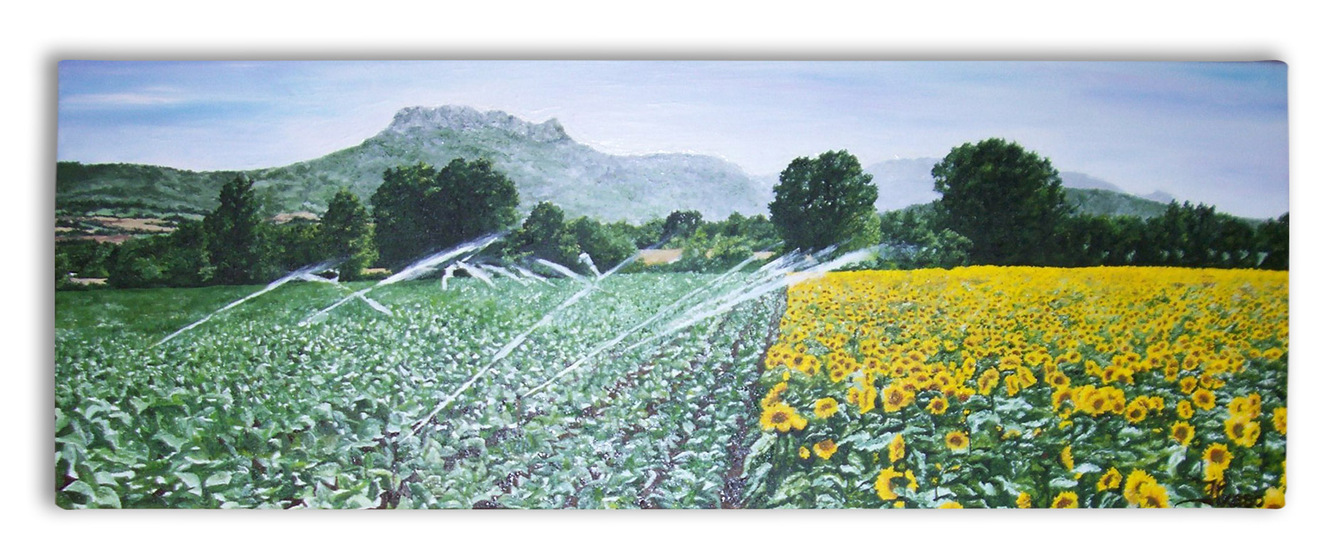 Tabaco y girasoles