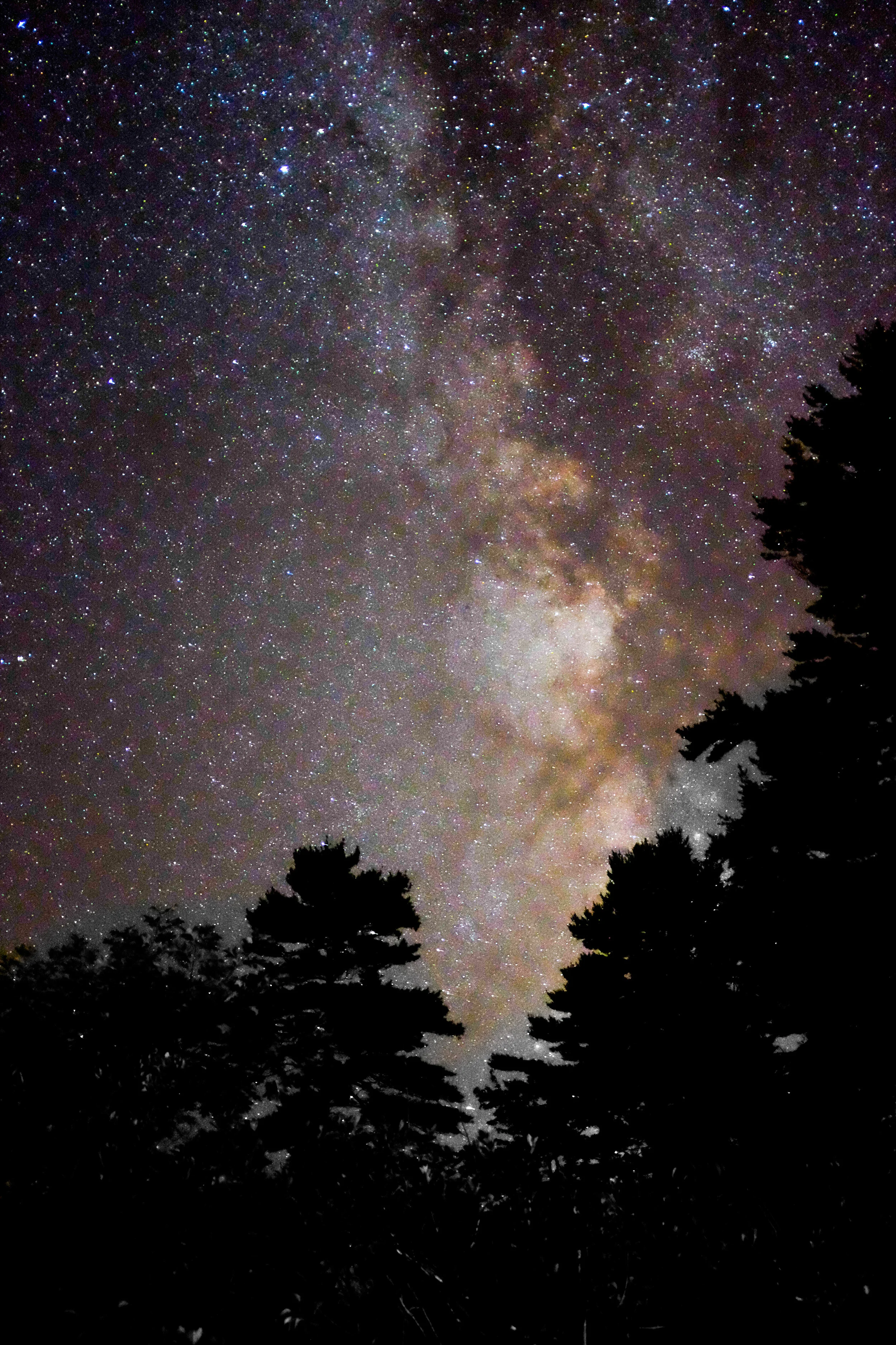 The Universe in My Backyard
