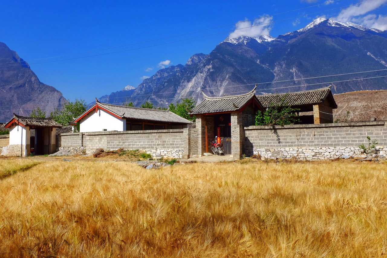 The elysian wheat fields of Daju. 