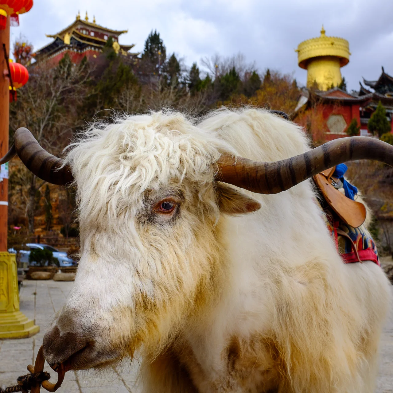 Yading-1.jpg