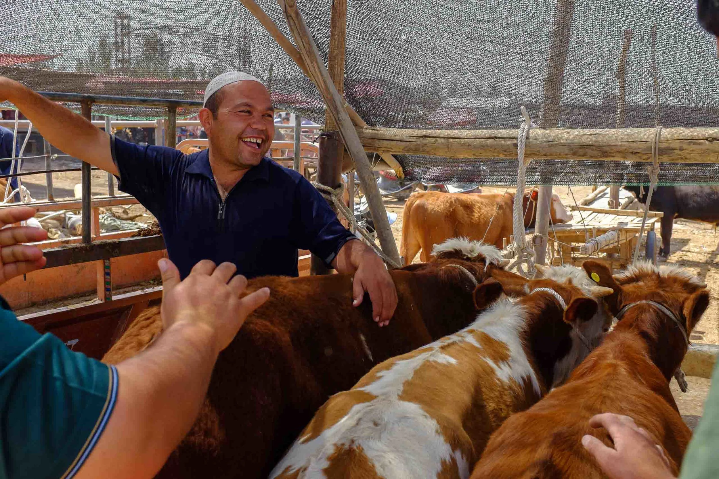 A happy cattle dealer