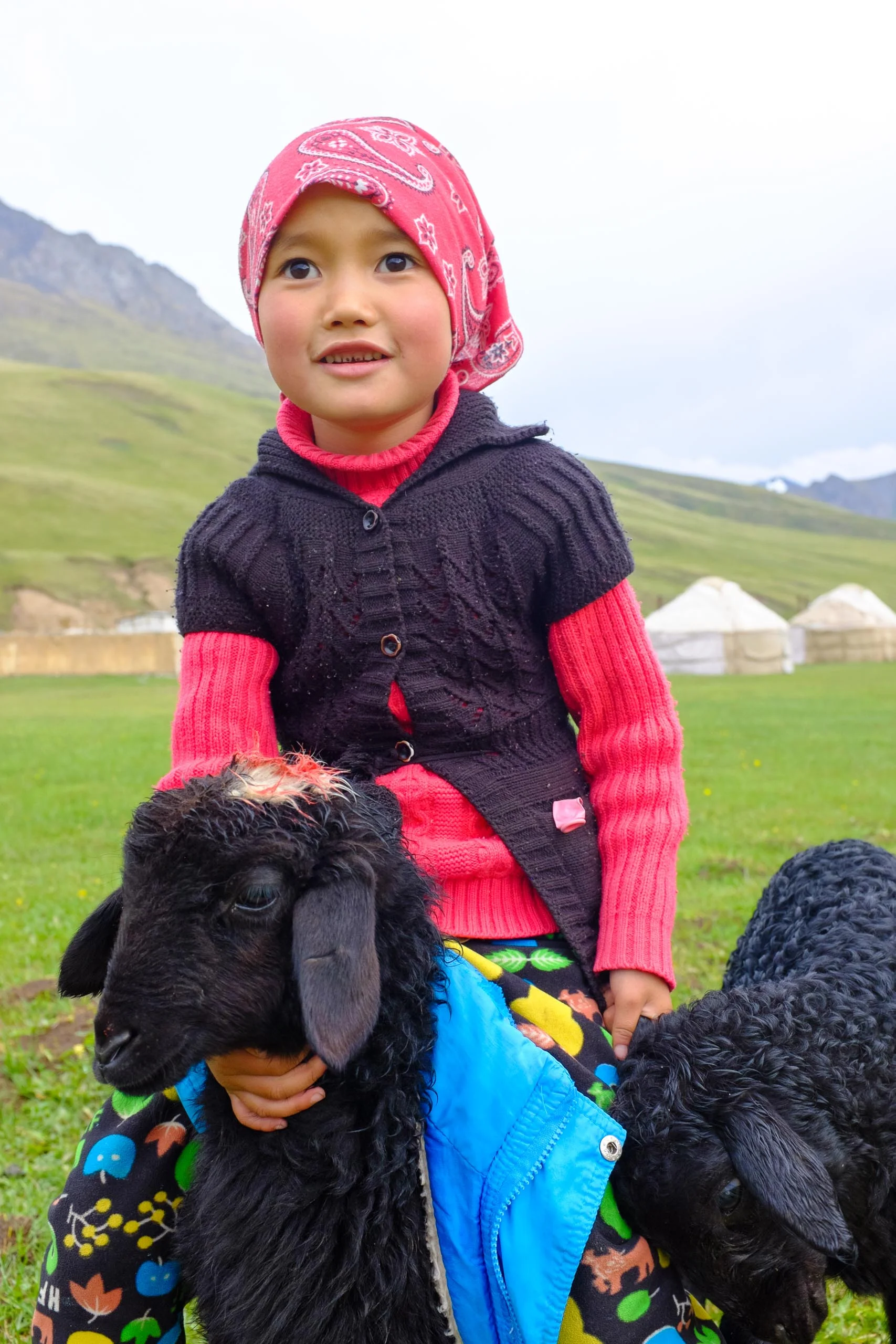 A girl and her sheep