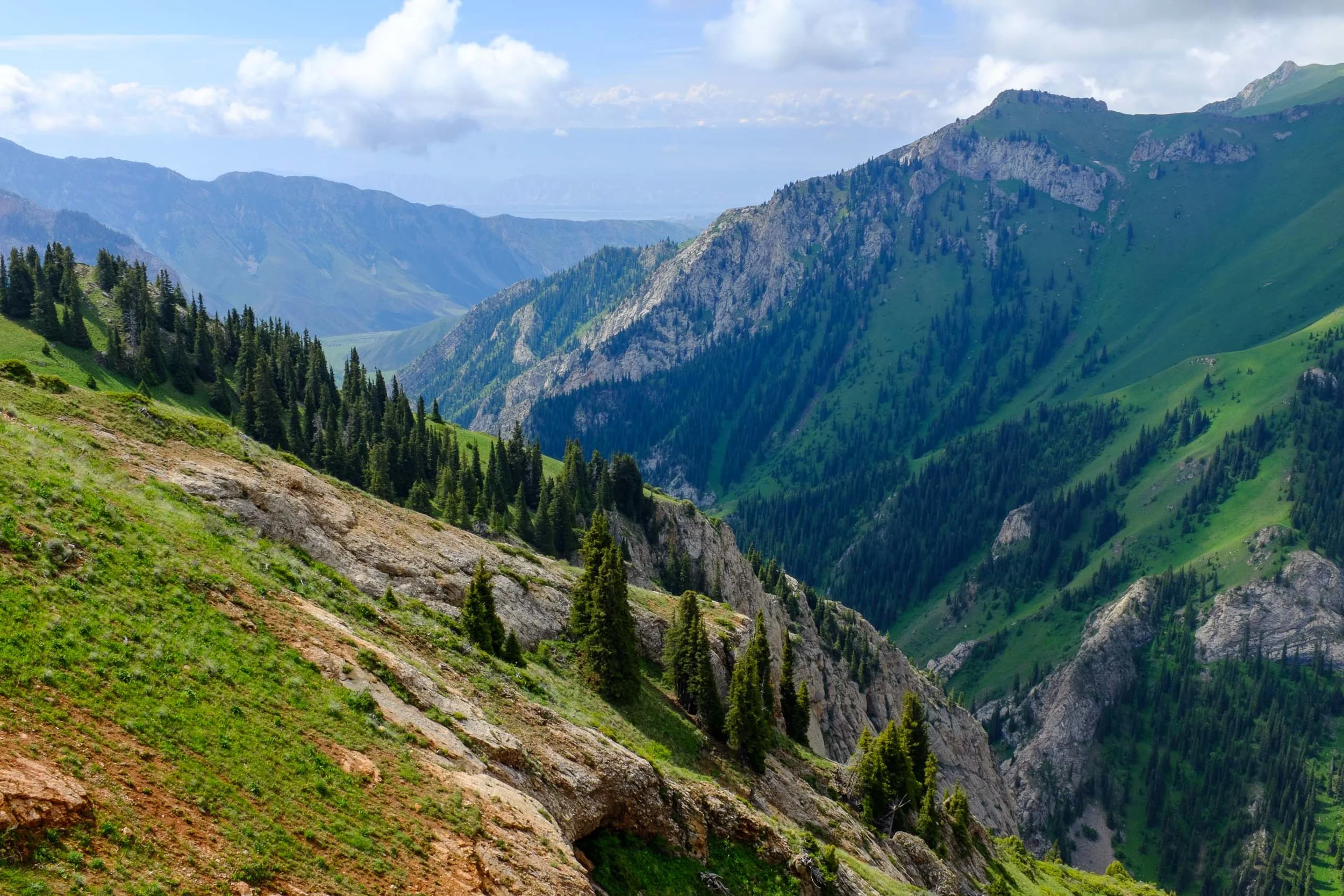 Dusty Roads and Broken Poles