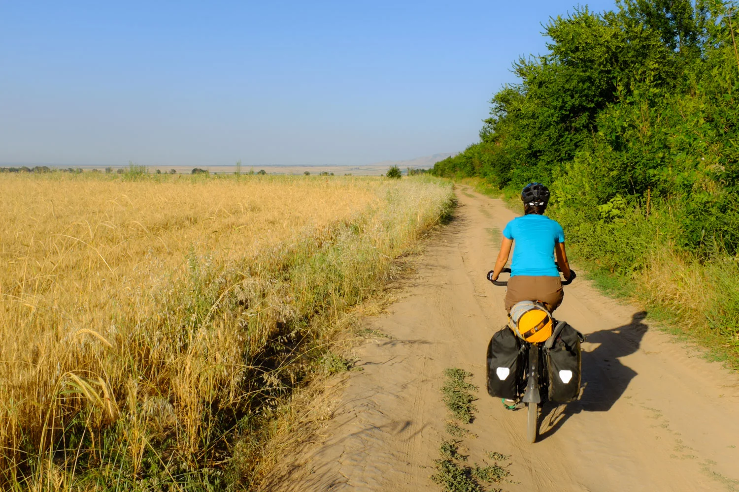 Riding through a wheat field
