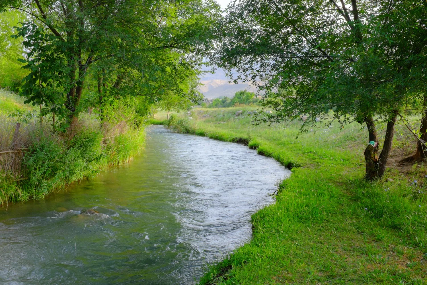 A canal channeled from the Chychkan river