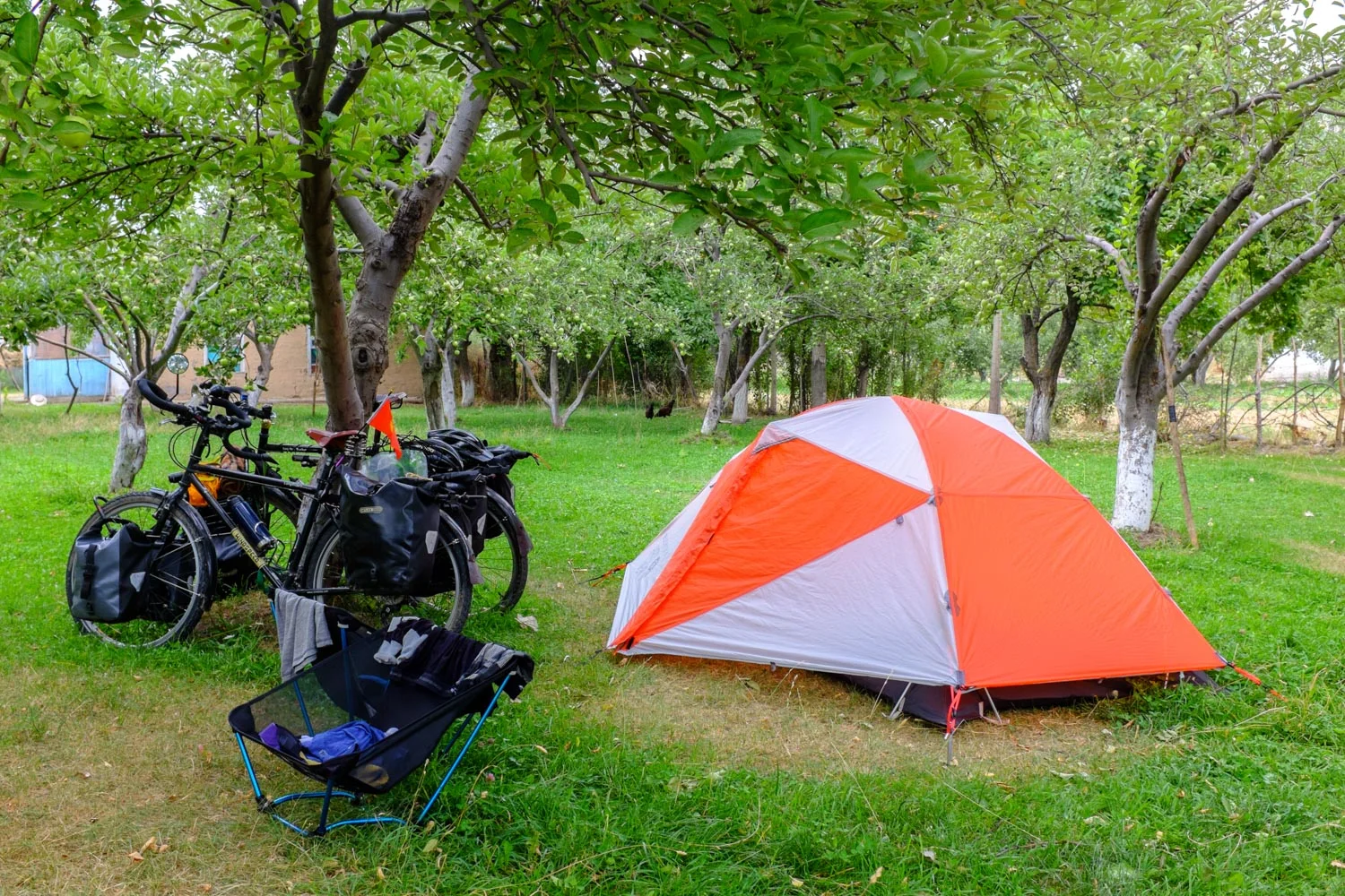 Our campsite in the apricot orchard