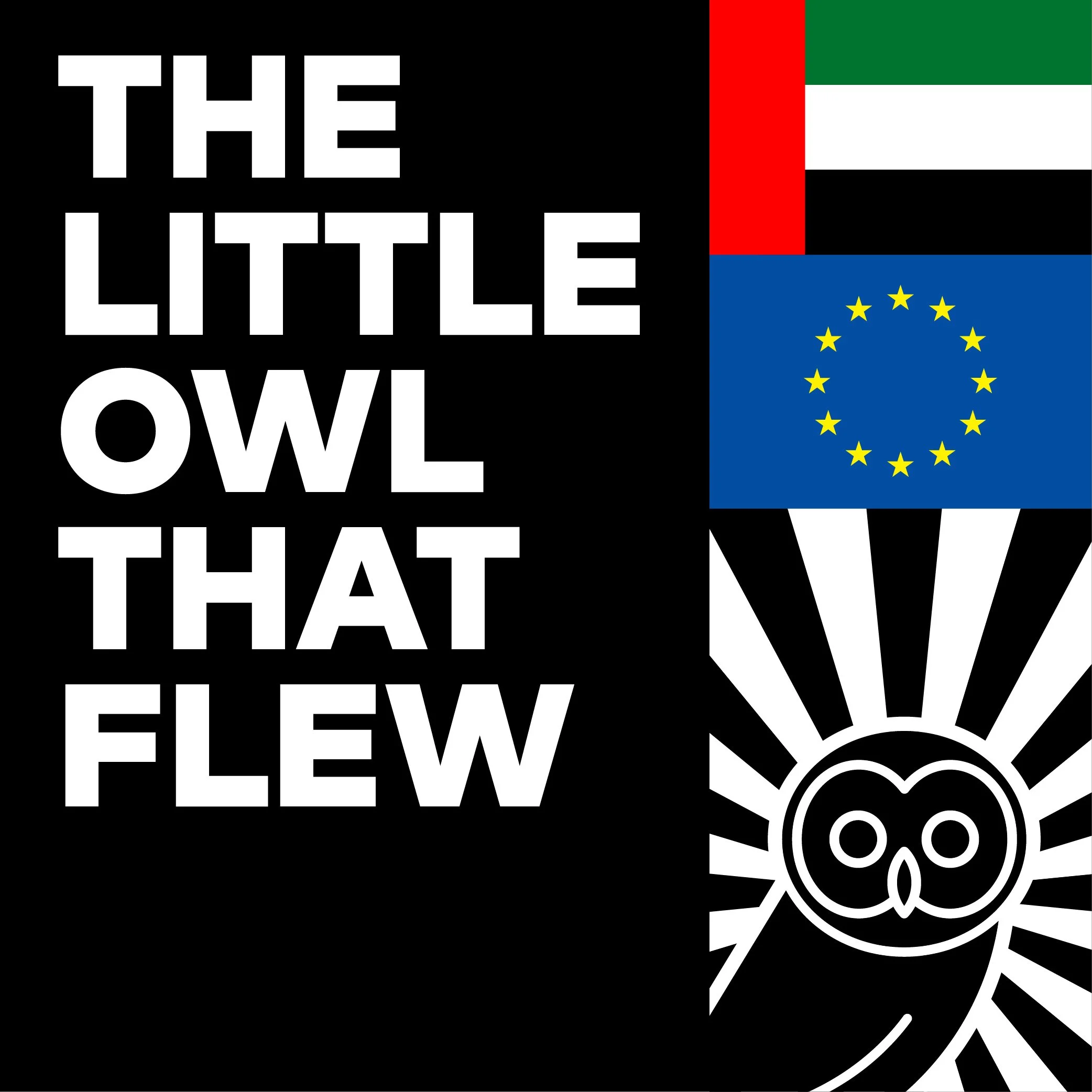 The Owl That Flew