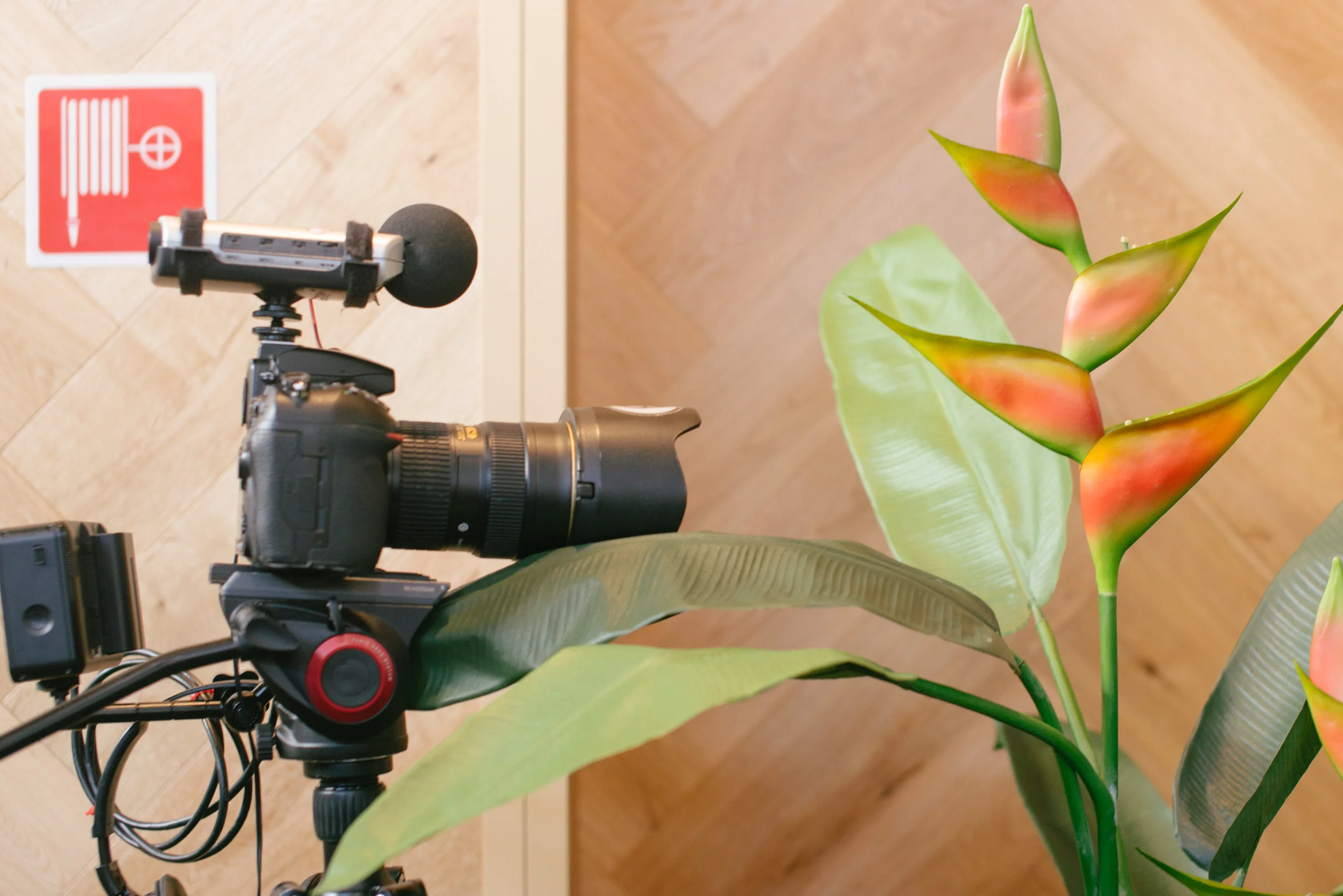 2016RMIT_WondermentWalk_Celestial Ground-143.jpg